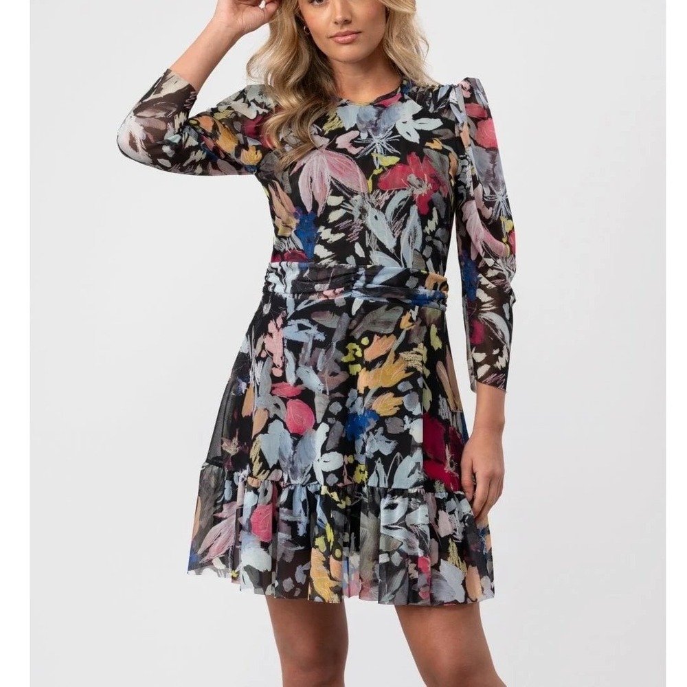 Ted Baker Payslyy Mesh Mini Dress Women 6 Floral Ruffle Colorful Puff 3/4 Sleeve